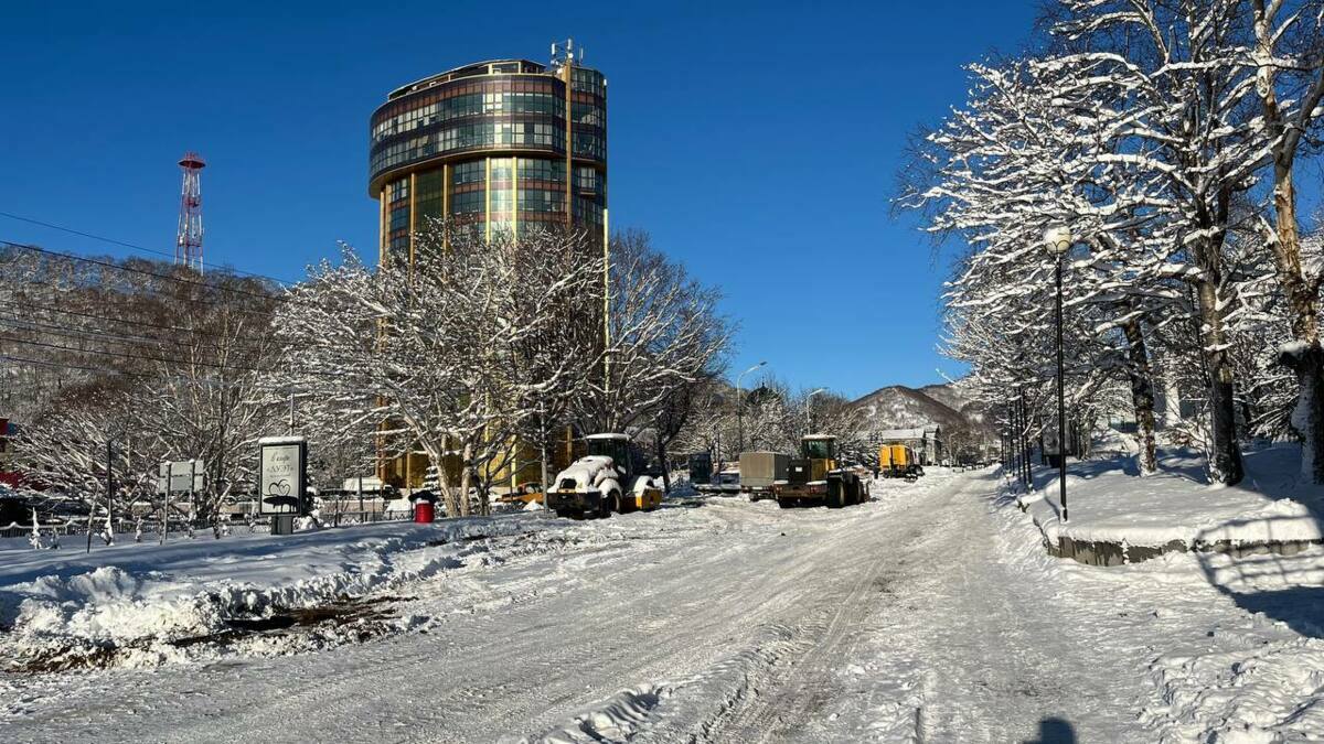 Владимир Солодов раскритиковал подходы исполнительных органов власти к организации пешеходного движения в центре Петропавловска